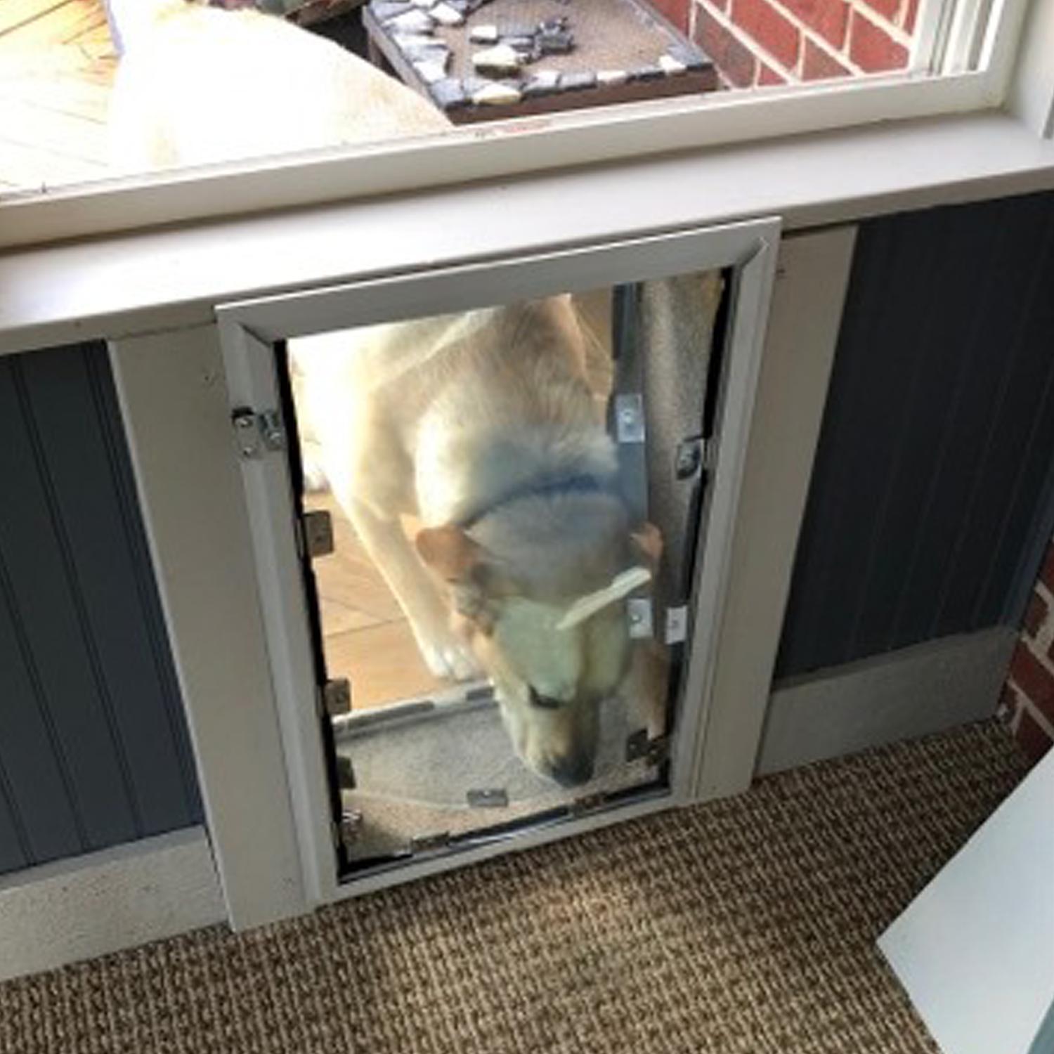 Diy dog door deals in wall