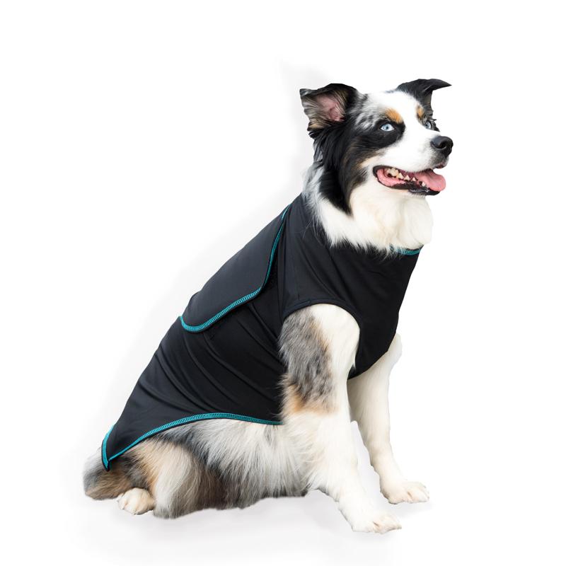 Benefab Canine Comfort & Care Shirt