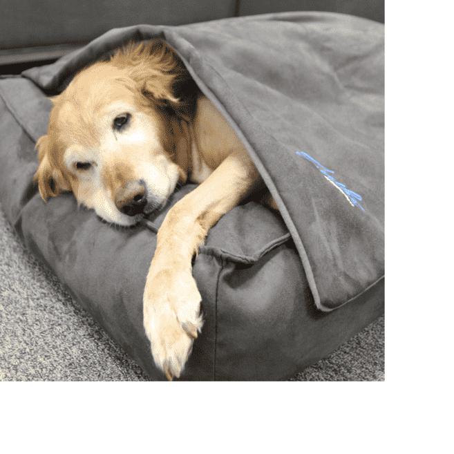 BuddyRest Soothe Anti-Anxiety Weighted Dog Blanket