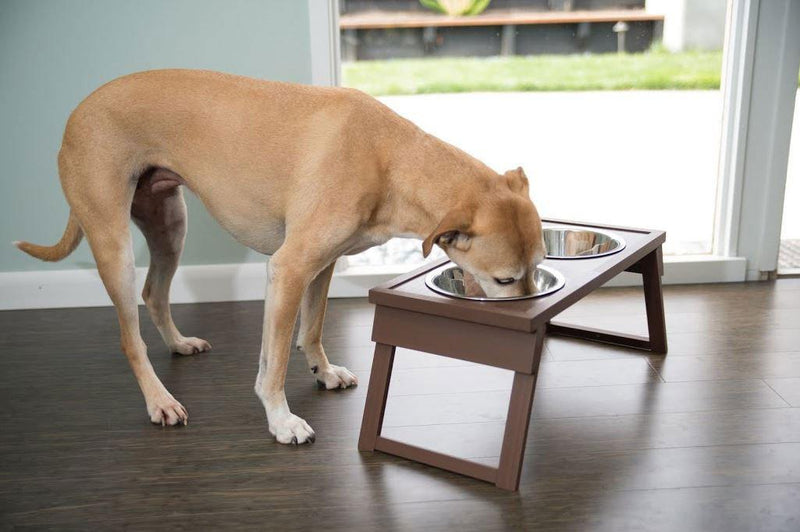 New Age Pet HiLo Raised Double Diner