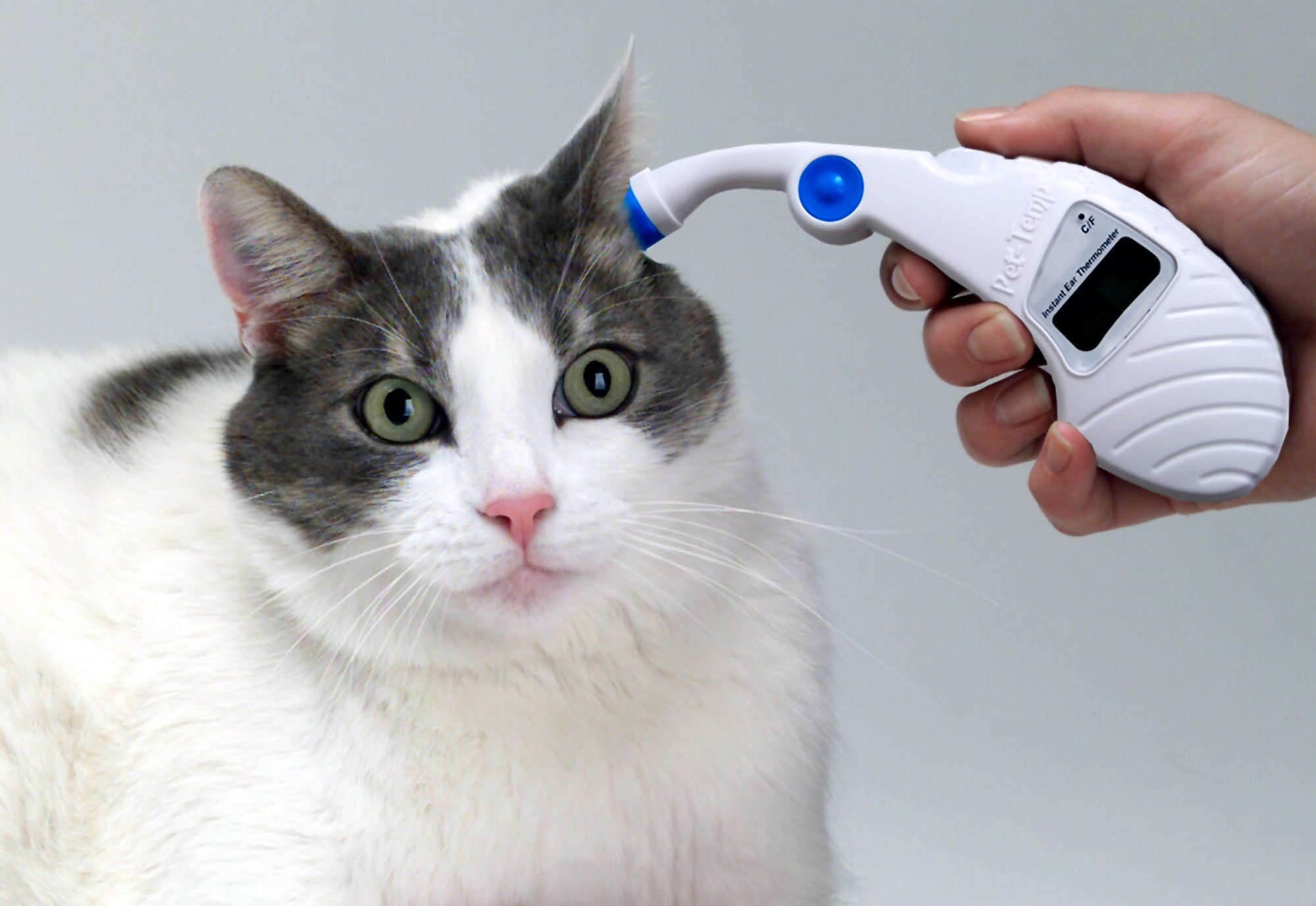 AMC Pet-Temp™ Instant Animal Ear Thermometer