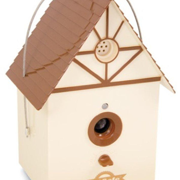 Petsafe sale birdhouse camera