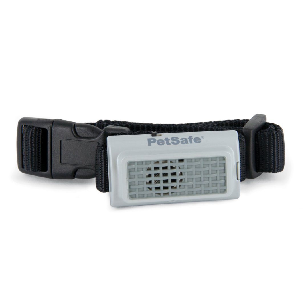 Petsafe collar 2024 beeps randomly