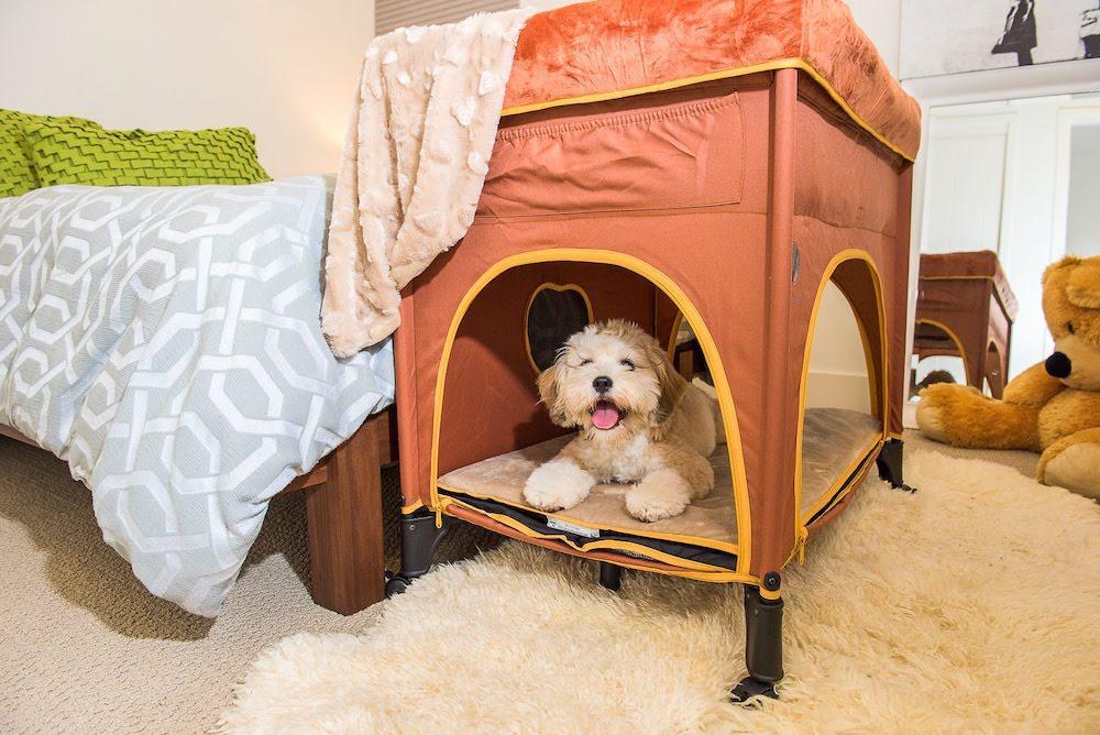 Petique Bedside Lounge Pet Bed