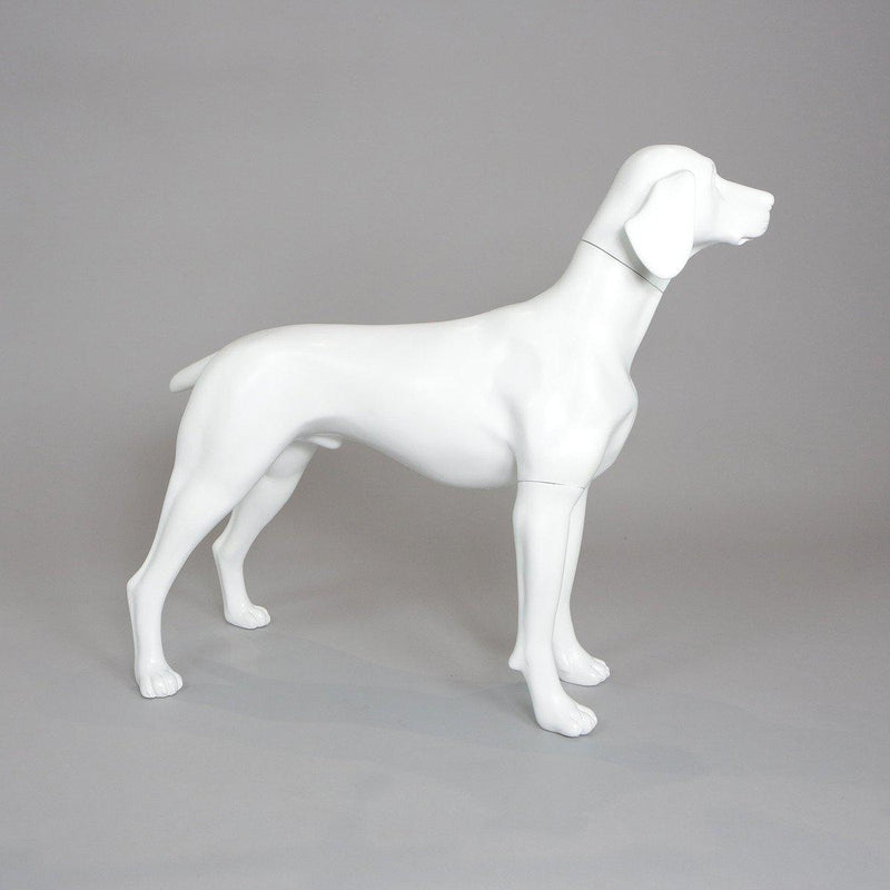 Blue-9 Dog Mannequin, German Pointer - William