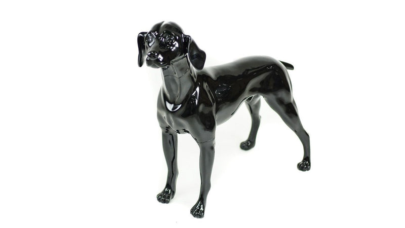 Blue-9 Dog Mannequin, German Pointer - William