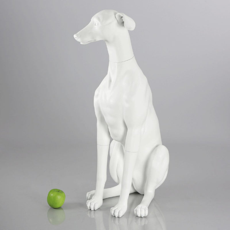 Blue-9 Dog Mannequin, Greyhound - Philippa