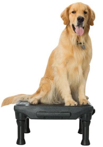 Blue-9 KLIMB Dog Training Platform