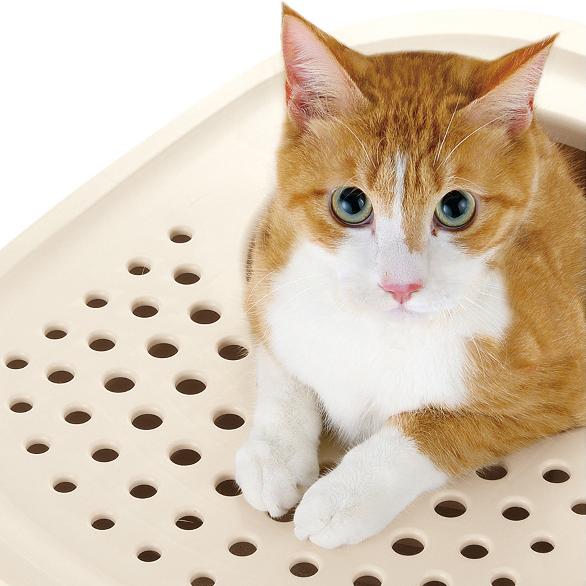 Richell PAW TRAX Top Entry Cat Litter Box