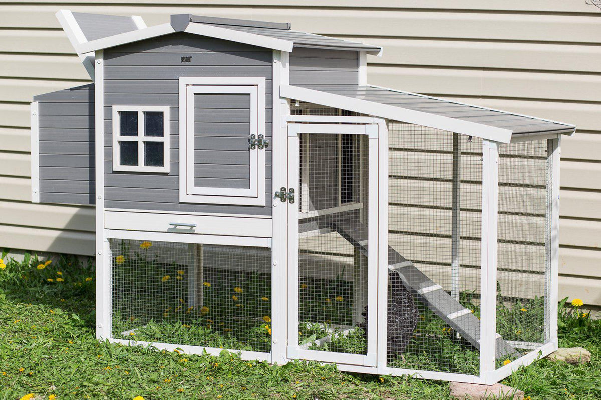 New Age Pet Hampton Chicken Coop