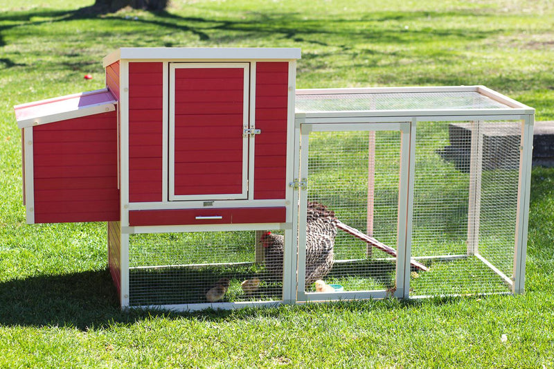 New Age Pet Sonoma Chicken Coop