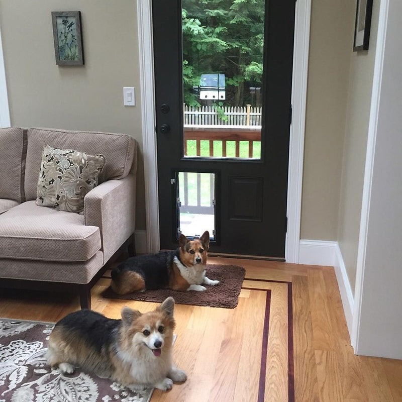 Hale Pet Door - In Door Mount Installation Dog Door & Cat Door