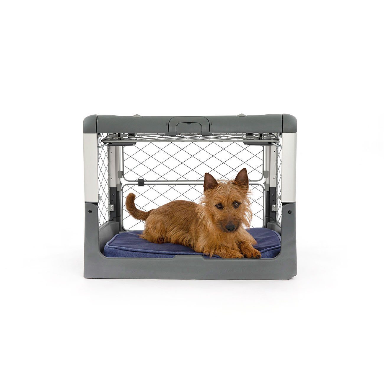 Diggs Revol Collapsible Dog Crate