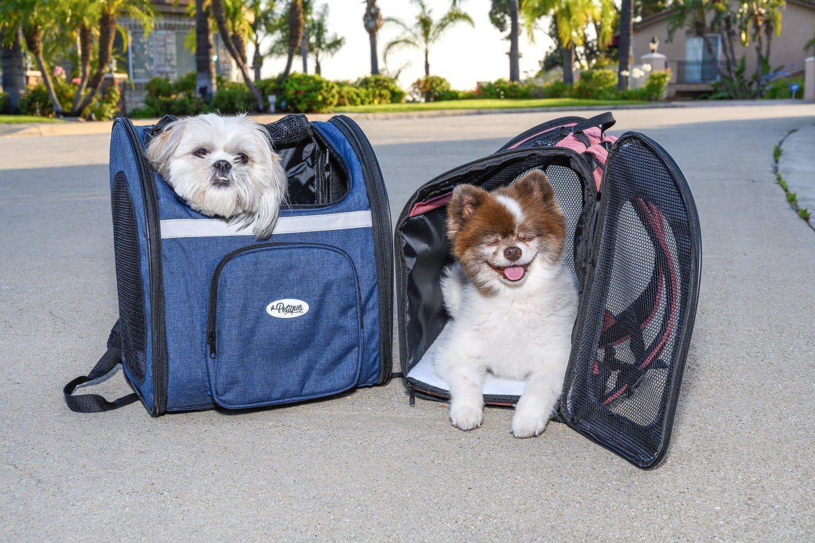 Petique The Backpacker Pet Carrier