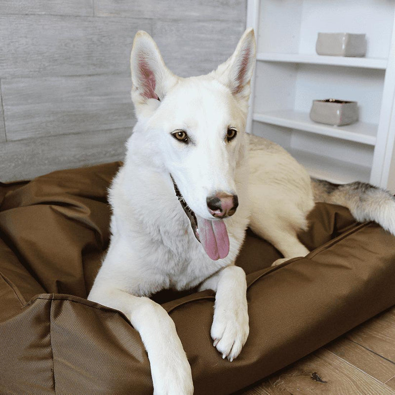 BuddyRest Titan Citadel Ballistic Dog Bed