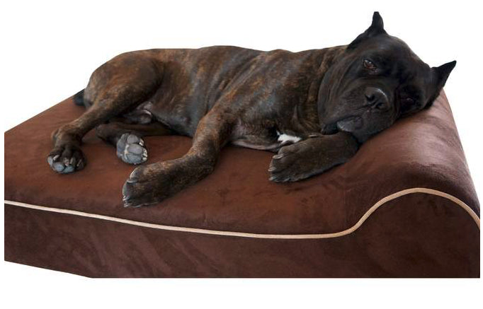 Bully Bed Orthopedic, Washable & Waterproof Big Dog Beds