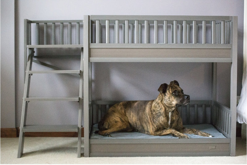 New Age Pet Aspen Pet Bunk Bed