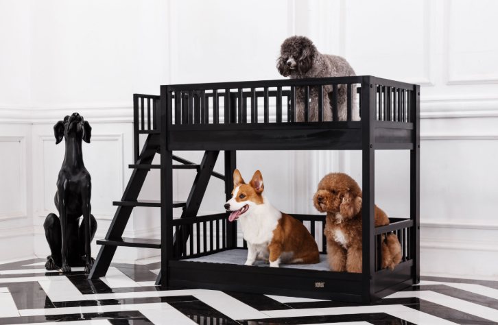 Big dog bunk outlet beds