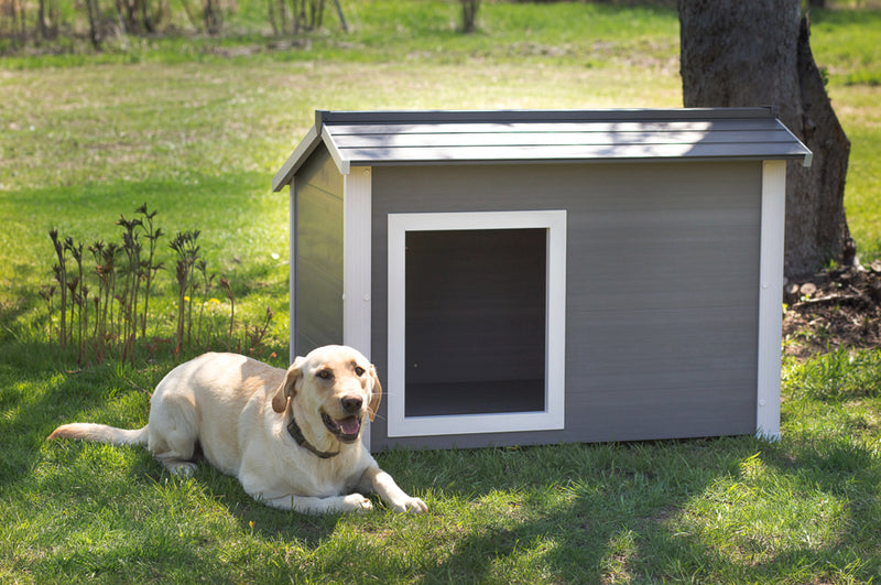 New Age Pet ThermoCore Insulated Canine Cabin dog house