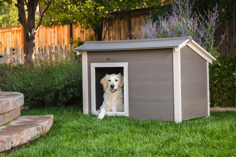 New Age Pet ThermoCore Insulated Canine Cabin dog house