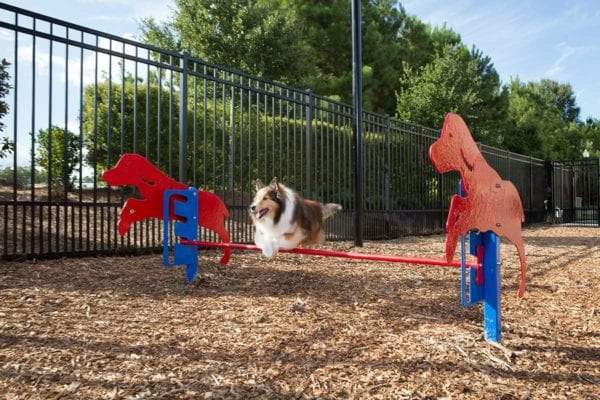 Novice Dog Park Kit