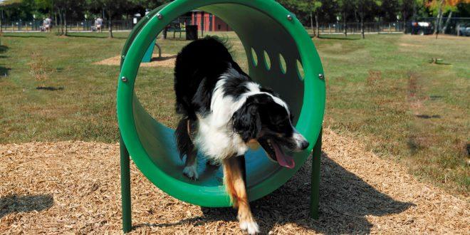 BarkPark by Ultrasite Novice Dog Park Kit