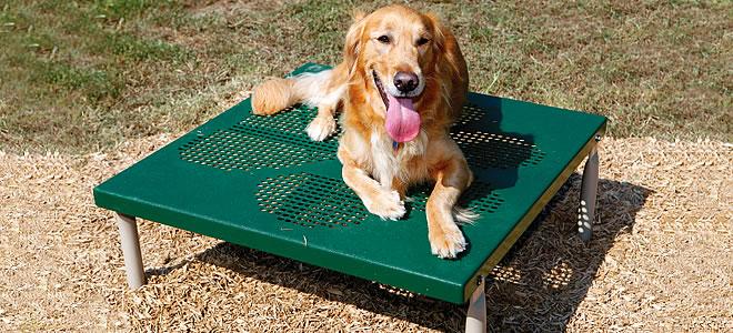 BarkPark by UltraSite Paws Table / Grooming Table
