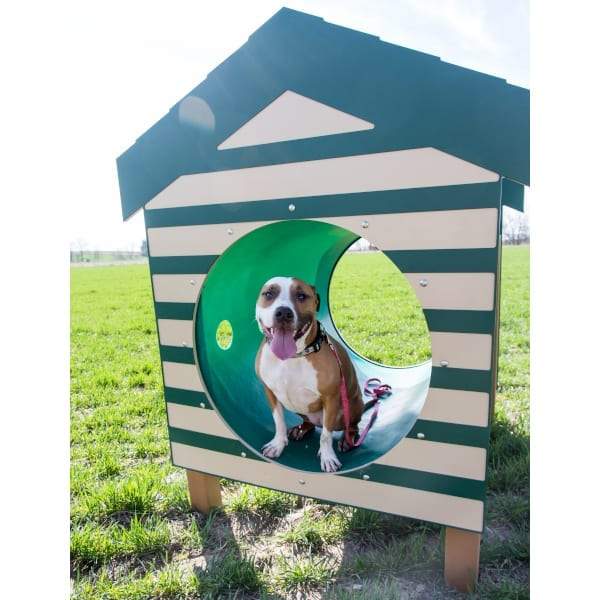 BarkPark by UltraSite Recycled Crawl Tunnel with Dog House