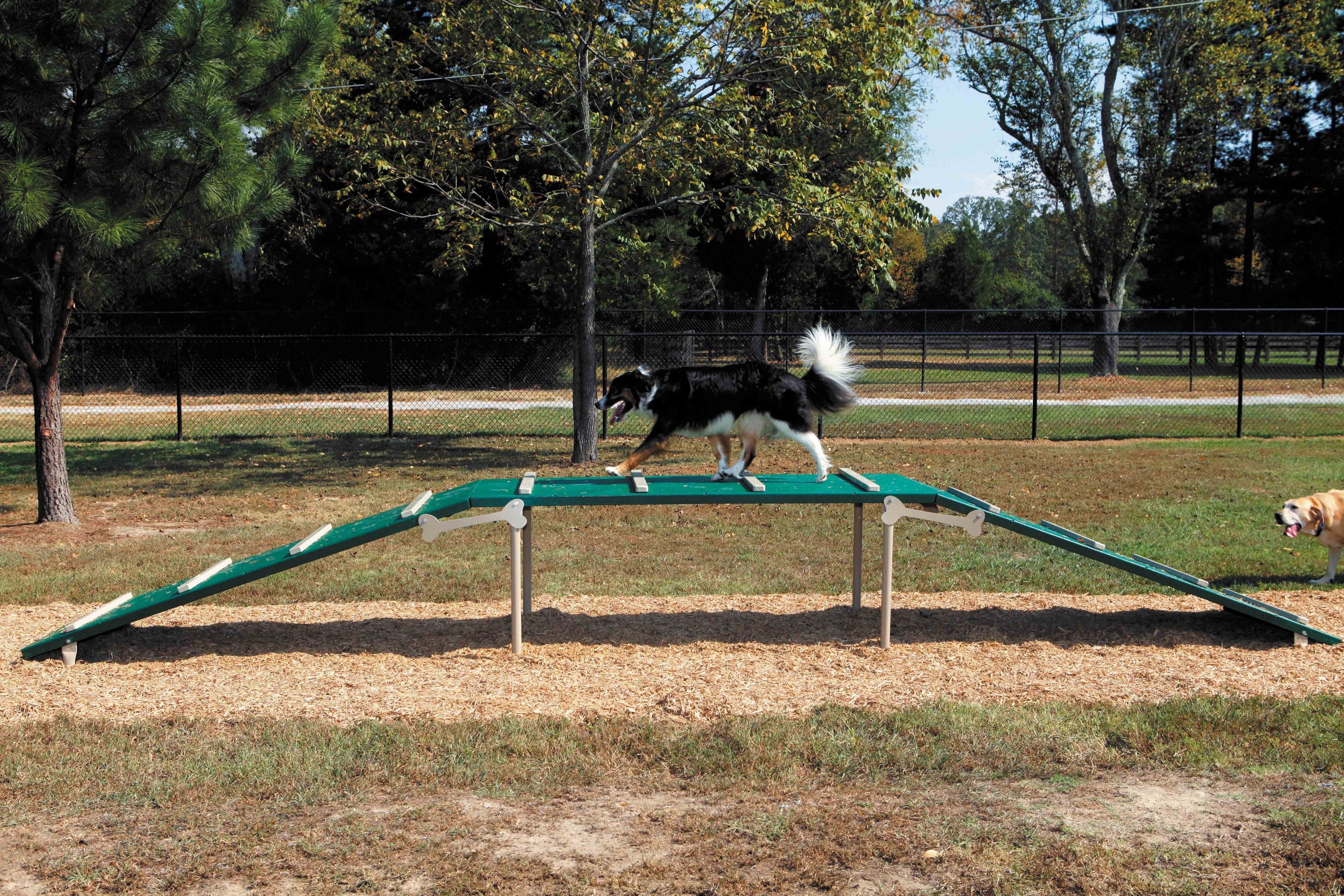 BarkPark by Ultrasite Small Large Dog Park Combination Course