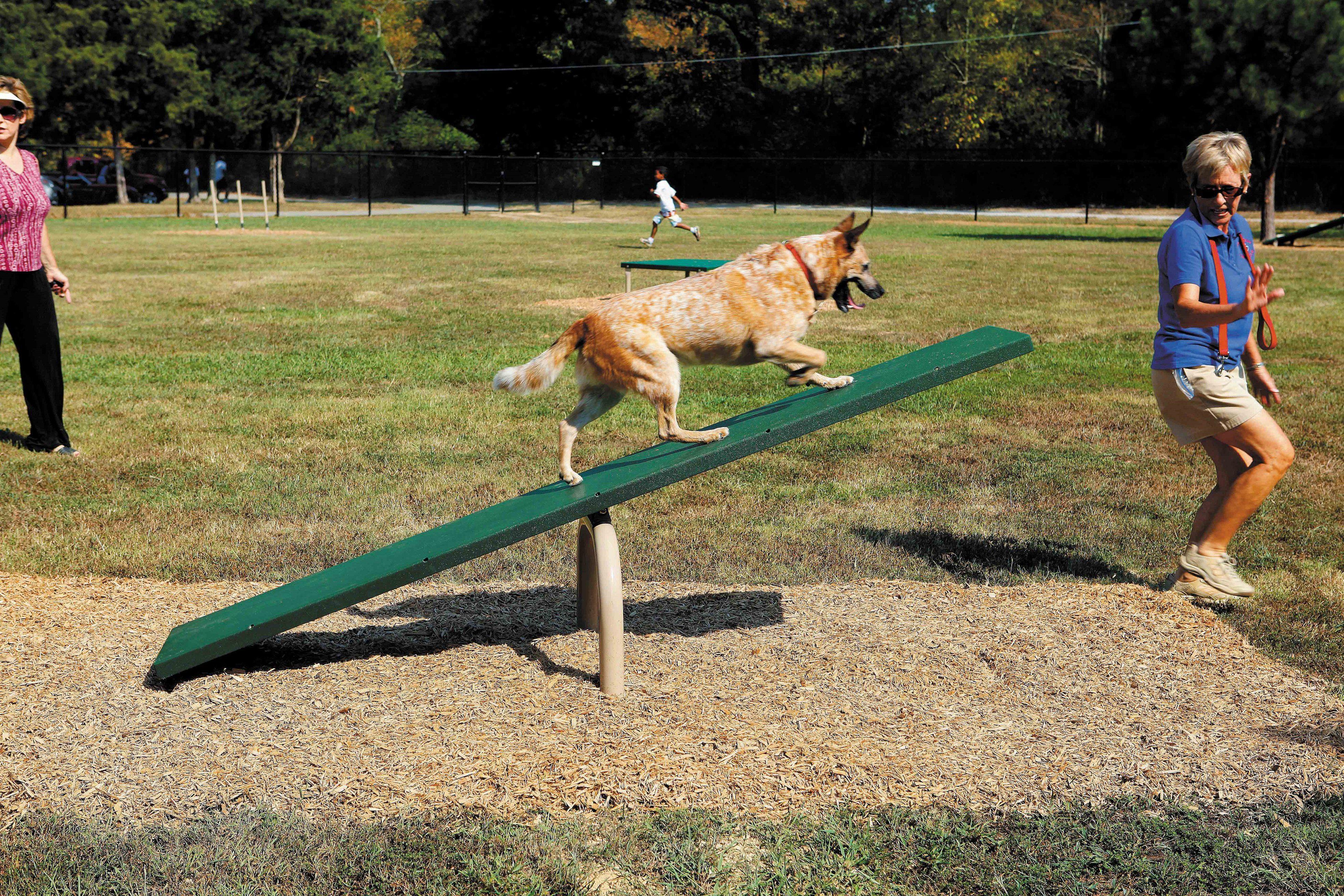 BarkPark by Ultrasite Teeter Totter