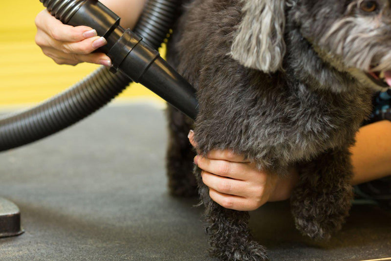 Metrovac Air Force Blaster Professional Grooming Dog & Pet Dryer