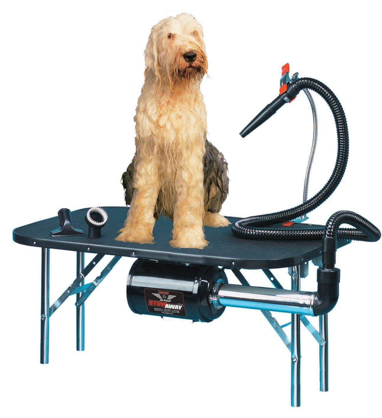 Wall mounted dog clearance dryer