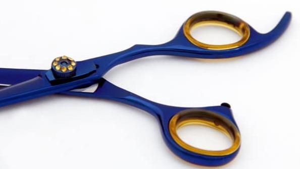 Loyalty Pet Products Starter 7″ Straight Shears