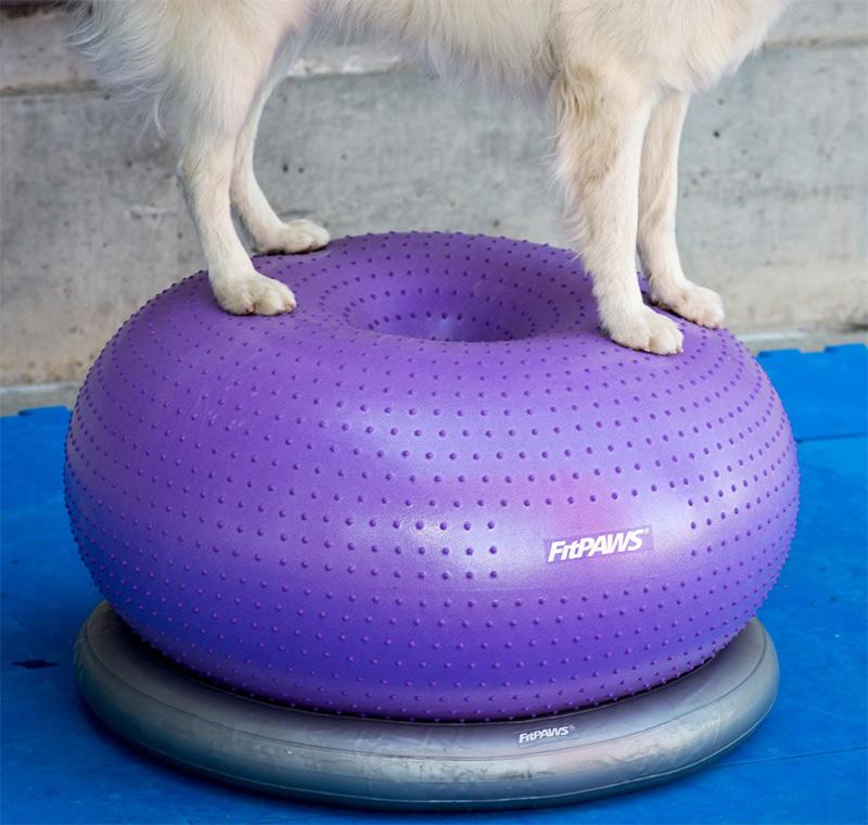 FitPAWS Circular Product Holder