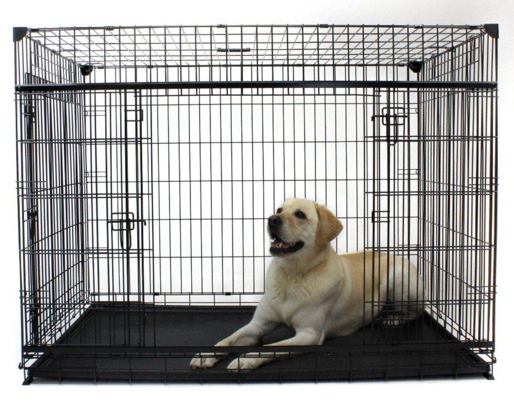 Side door dog outlet crate