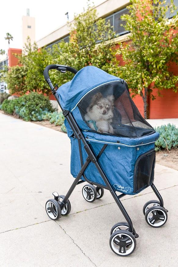 Pet and Pets Malibu Pet Stroller