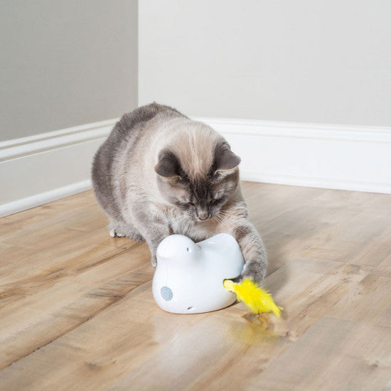 PetSafe Peek-a-Bird™ Electronic Cat Toy