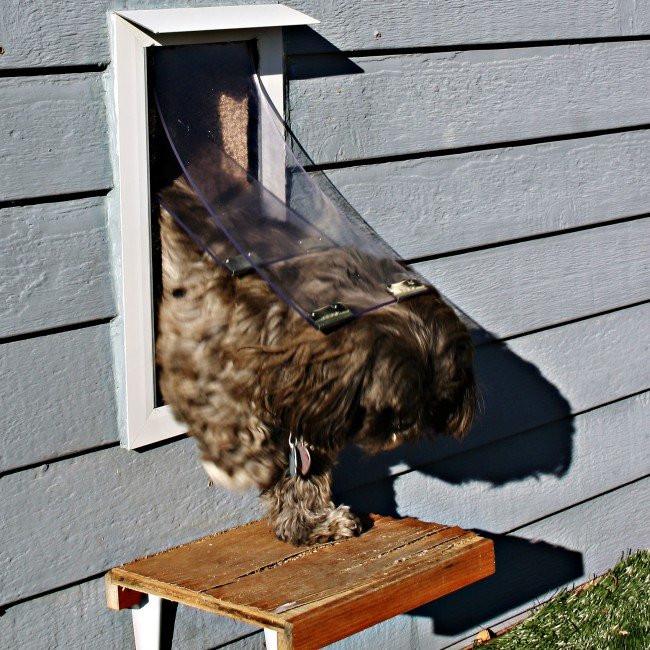 Hale Pet Door for Walls | Secure In Wall Mount Dog Door & Cat Door