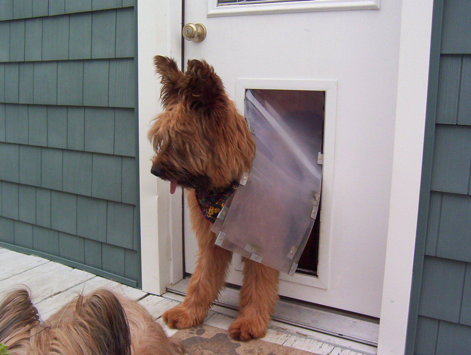 Hale Pet Door In Door Mounted Installation dog doors and cat doors