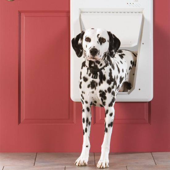 Petsafe electronic smart door replacement parts sale