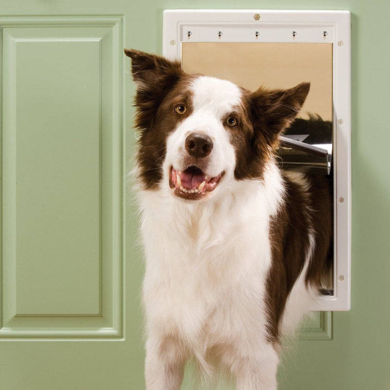 PetSafe Freedom Plastic Pet Door