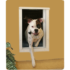 PlexiDor Performance Electronic Automatic Wall Mounted Cat & Dog Door - Pet Pro Supply Co.