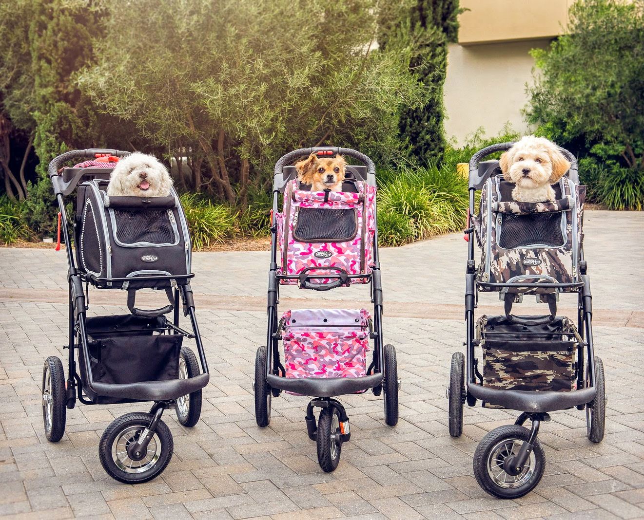 Pet stroller in store near outlet me