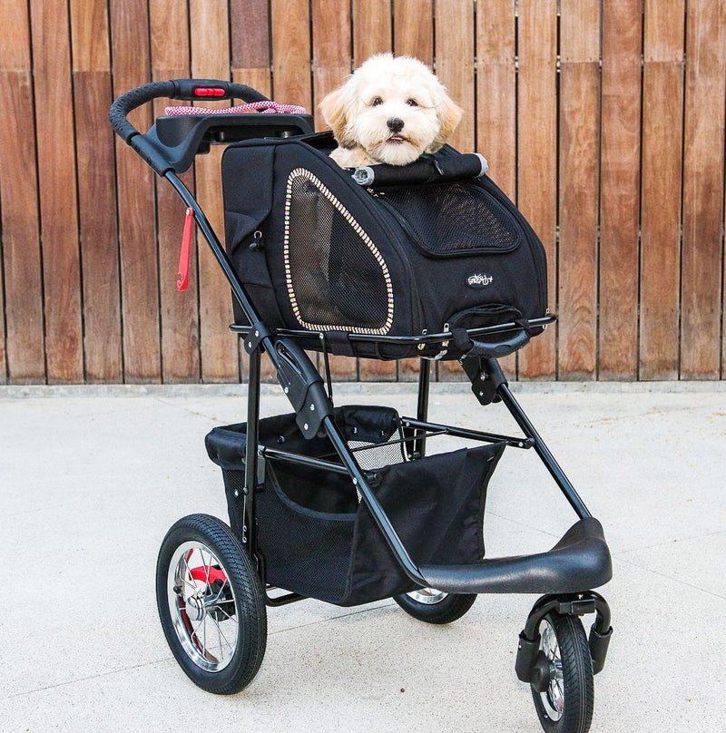 Petique 5-in-1 Pet Stroller (Complete Set with Pet Carrier and Stroller Frame)