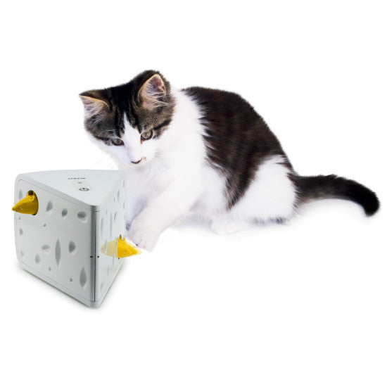 PetSafe Cheese Cat Toy
