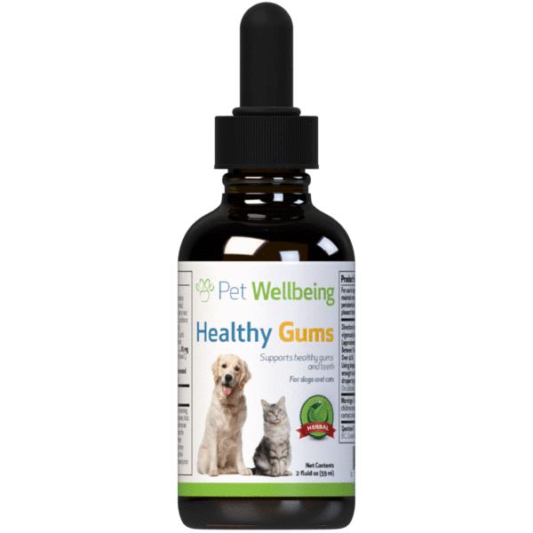 Pet Wellbeing Healthy Gums for Canine Periodontal Health