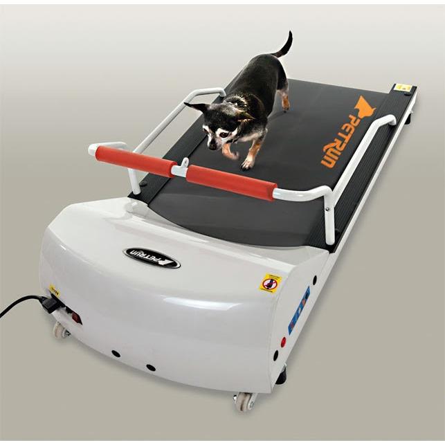 GoPet Petrun PR700 Treadmill for Small Dogs