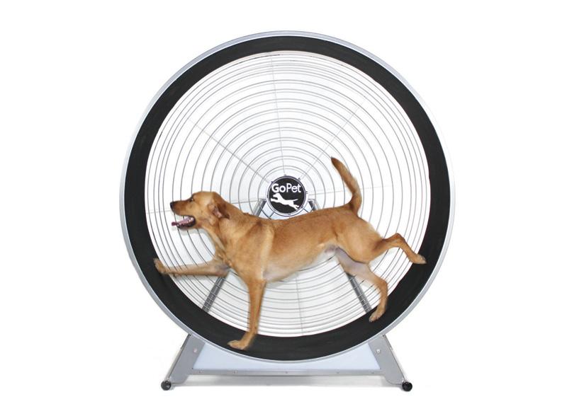 GoPet CS8022 Indoor/Outdoor Treadwheel for Extra Large Dogs