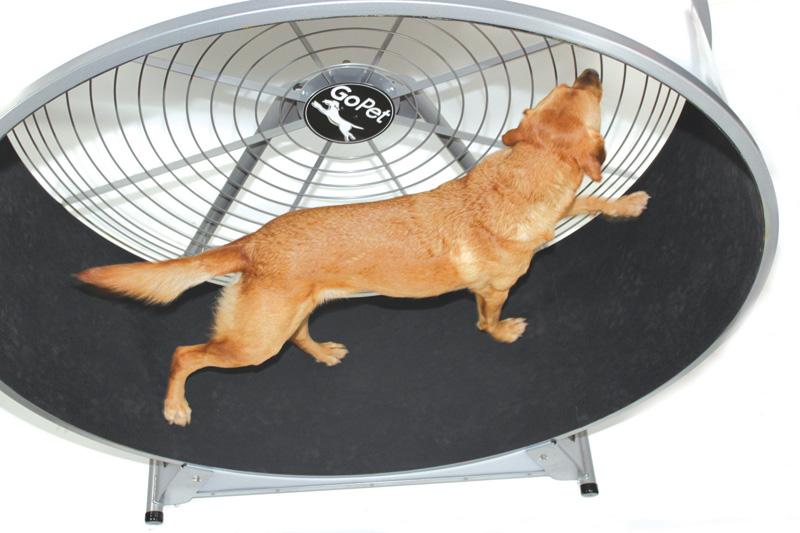 GoPet CS8022 Indoor/Outdoor Treadwheel for Extra Large Dogs