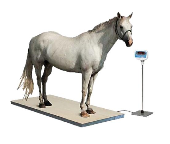 DRE Equine Veterinary Digital Floor Scale